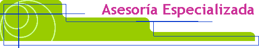Asesor�a Especializada