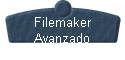 Filemaker 
 Avanzado